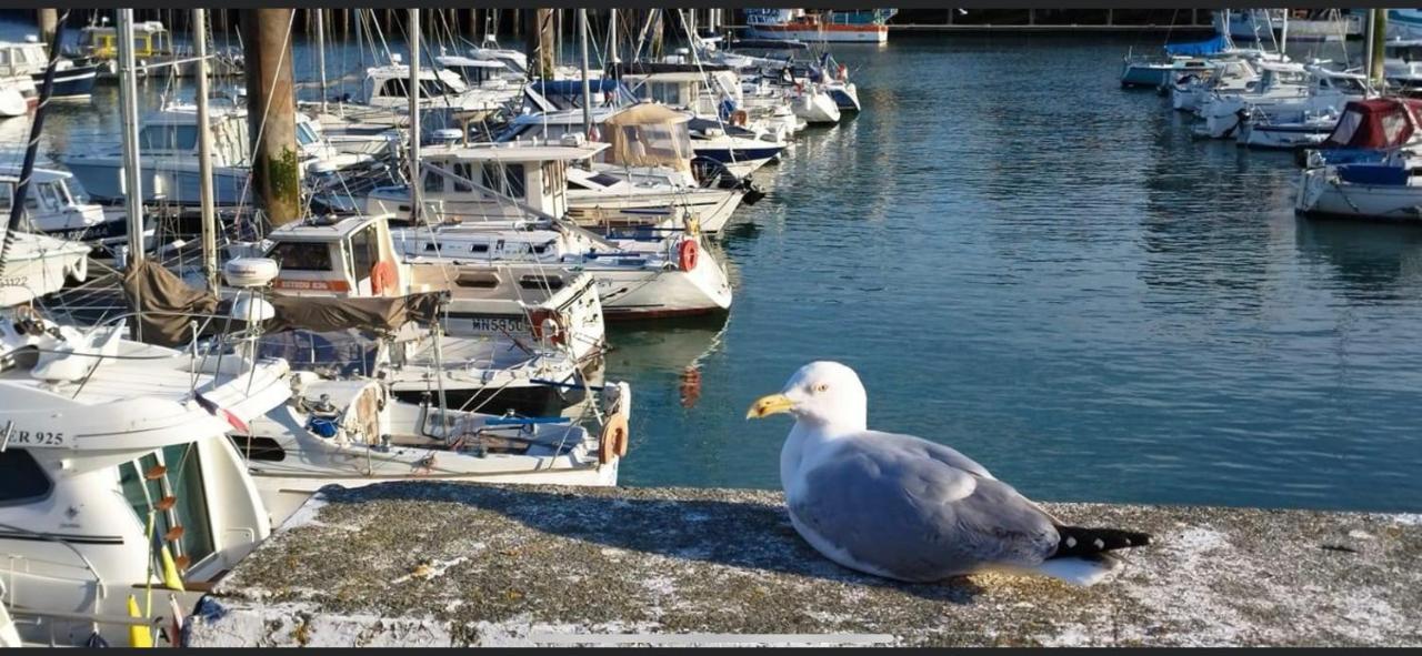 Magnifique Appartement L'Aigrette Dieppe Eksteriør billede